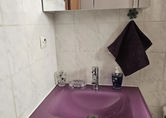 Séjour chez l'habitant Chez Cerisa Palaiseau